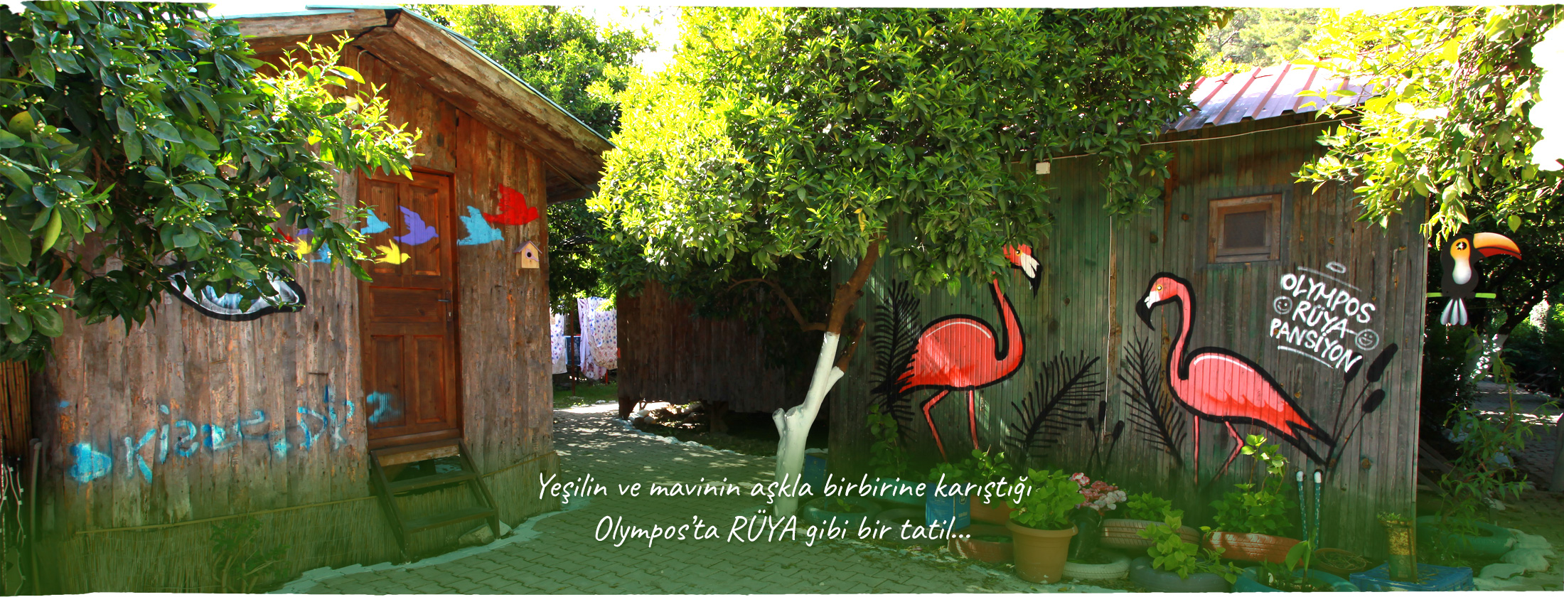 Ruya Pansiyon Olympos Antalya Www Olymposruya Com Olympos Olimpos Pansion Pansiyon Olympos Tatil Olimpos Tatil Tatil Antalya Tatil Tatil Antalya Antalya Portakal Bahcesi Bungalow Agac Ev Sicak Su Klimali Odalar Sabah Kahvaltisi